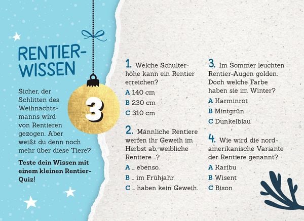 Produktbild: 24 Adventsrätsel | Die perfekte Ablenkung vom Weihnachtsstress