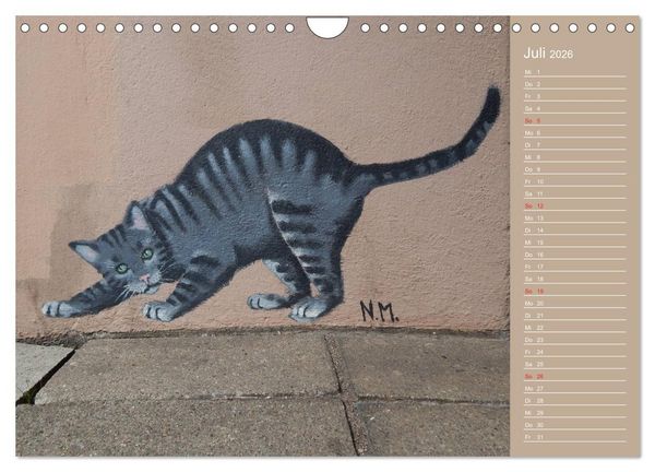 Produktbild: Flensburger Katzen (Wandkalender 2026 DIN A4 quer), CALVENDO Monatskalender