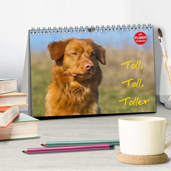 Produktbild: Toll, toll, Toller (Tischkalender 2026 DIN A5 quer), CALVENDO Monatskalender