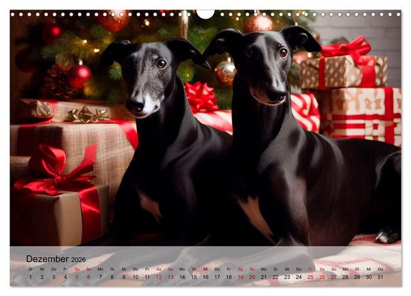 Produktbild: Black is beautiful (Wandkalender 2026 DIN A3 quer), CALVENDO Monatskalender