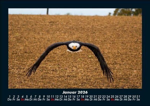 Produktbild: Adler 2026 Fotokalender DIN A5