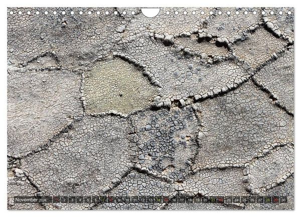 Produktbild: Krustenflechten - Pioniere auf Fels (Wandkalender 2026 DIN A4 quer), CALVENDO Monatskalender