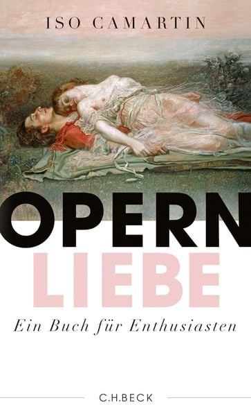 Produktbild: Opernliebe