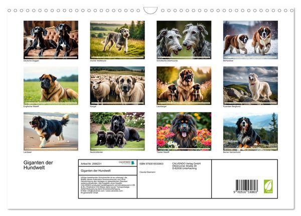 Produktbild: Giganten der Hundwelt (Wandkalender 2026 DIN A3 quer), CALVENDO Monatskalender