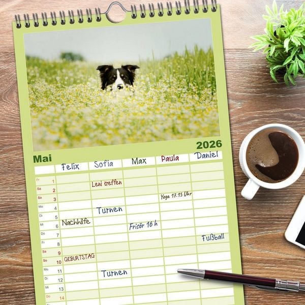 Produktbild: Familienplaner 2026 - Der Bordercollie-Kalender mit 5 Spalten (Wandkalender, 21 x 45 cm) CALVENDO