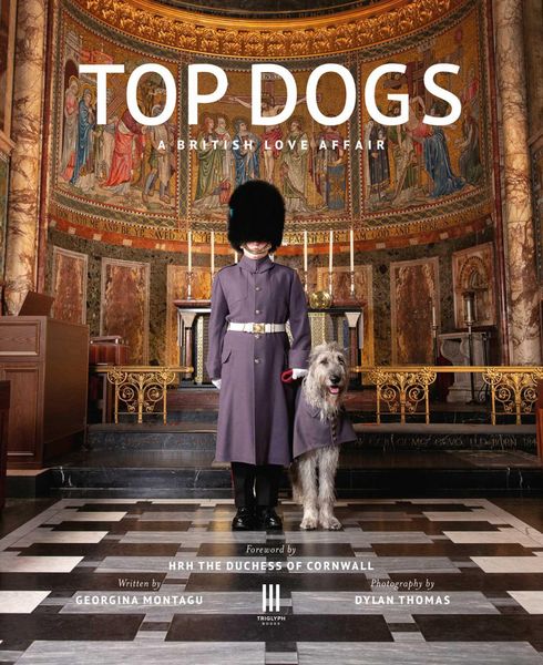 Produktbild: Top Dogs