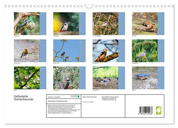Produktbild: Gefiederte Gartenfreunde (Wandkalender 2026 DIN A3 quer), CALVENDO Monatskalender