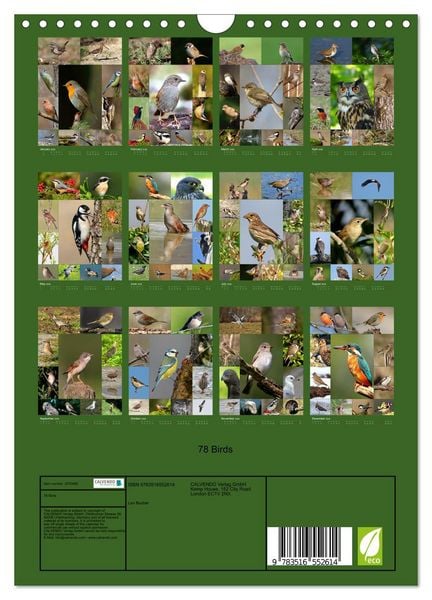 Produktbild: 78 Birds (Wall Calendar 2026 DIN A4 portrait), CALVENDO 12 Month Wall Calendar