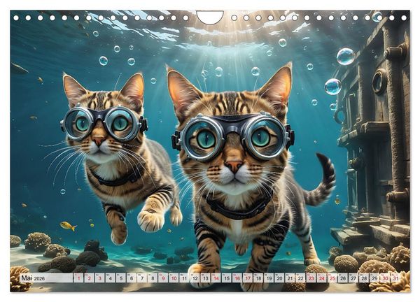 Produktbild: Katzen unter Wasser (Wandkalender 2026 DIN A4 quer), CALVENDO Monatskalender
