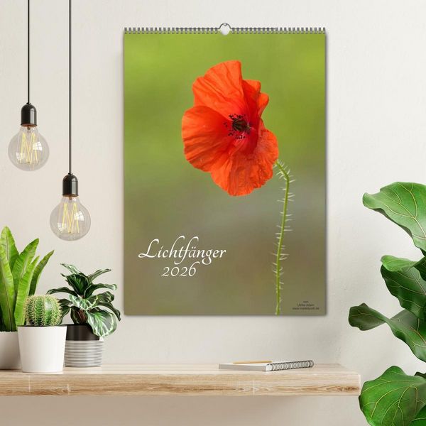 Produktbild: Lichtf&auml;nger (Wandkalender 2026 DIN A2 hoch), CALVENDO Monatskalender