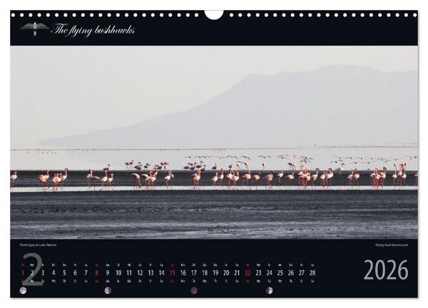 Produktbild: Tansania Blickwinkel 2026 (Wandkalender 2026 DIN A3 quer), CALVENDO Monatskalender