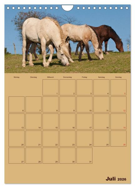 Produktbild: Pferde Gute Freunde (Wandkalender 2026 DIN A4 hoch), CALVENDO Monatskalender