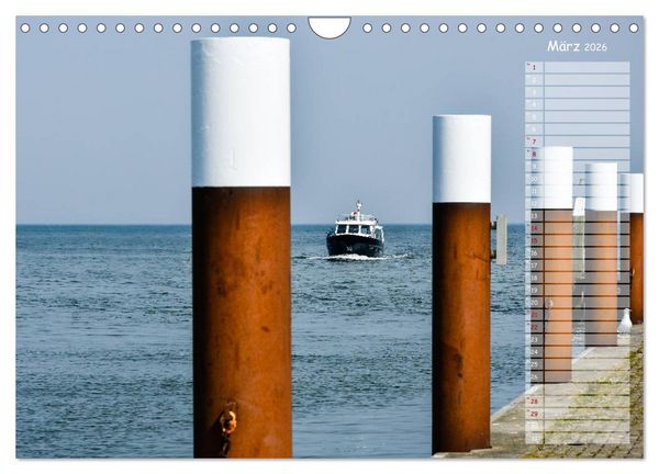 Produktbild: Ein Sommer auf Texel (Wandkalender 2026 DIN A4 quer), CALVENDO Monatskalender