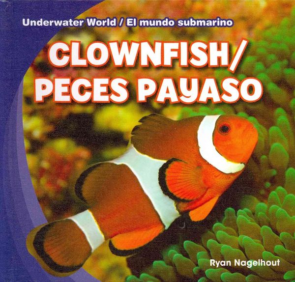 Produktbild: Clownfish / Peces Payaso