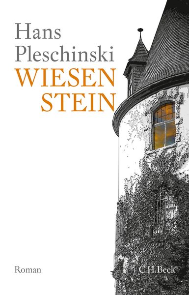 Produktbild: Wiesenstein