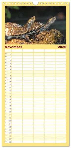 Produktbild: Familienplaner 2026 - Schildkr&ouml;ten - Gepanzerte Urzeitwesen mit 5 Spalten (Wandkalender, 21 x 45 cm) CALVENDO