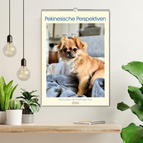 Produktbild: Pekinesische Perspektiven - Mein Leben als flauschige Diva (Wandkalender 2026 DIN A2 hoch), CALVENDO Monatskalender