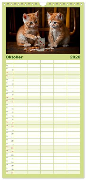 Produktbild: Familienplaner 2026 - Katzen Freunde mit 5 Spalten (Wandkalender, 21 x 45 cm) CALVENDO