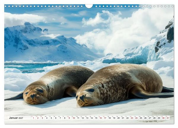 Produktbild: Faszination Robben - Zwischen Wellen und Weite (Wandkalender 2027 DIN A3 quer), CALVENDO Monatskalender