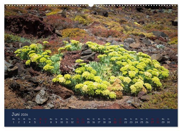 Produktbild: Naturwunder Madeira (Wandkalender 2026 DIN A2 quer), CALVENDO Monatskalender