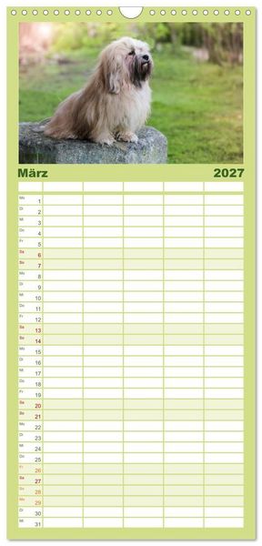 Produktbild: Familienplaner 2027 - Havaneser - Wirbelwinde aus Kuba mit 5 Spalten (Wandkalender, 21 x 45 cm) CALVENDO