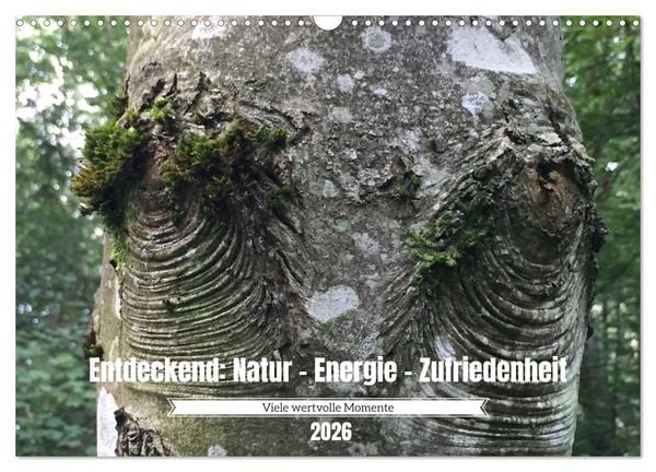 Produktbild: Entdeckend: Natur - Energie - Zufriedenheit (Wandkalender 2026 DIN A3 quer), CALVENDO Monatskalender
