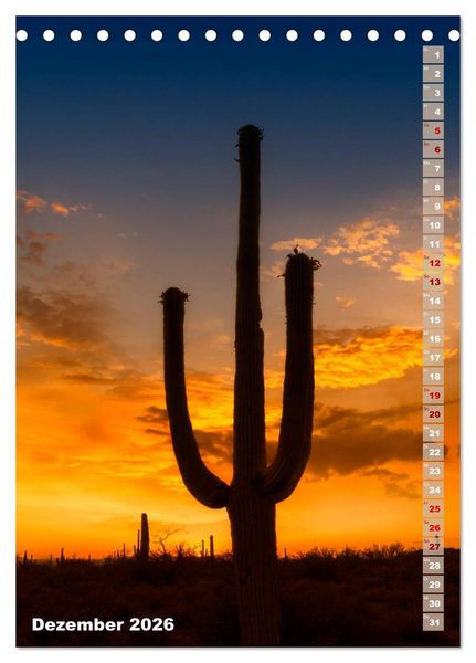 Produktbild: SAGUARO NATIONAL PARK W&uuml;stenimpressionen aus Arizona (Tischkalender 2026 DIN A5 hoch), CALVENDO Monatskalender