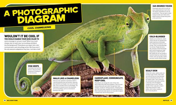 Produktbild: National Geographic Kids Everything Reptiles
