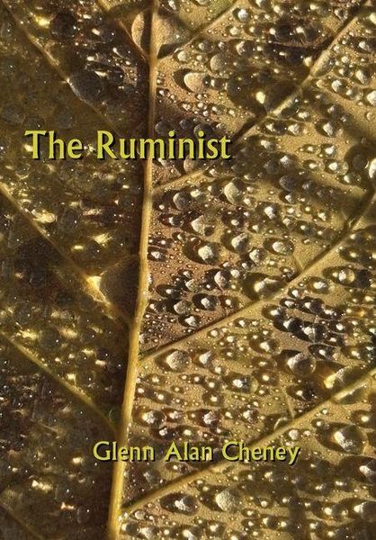 Produktbild: The Ruminist