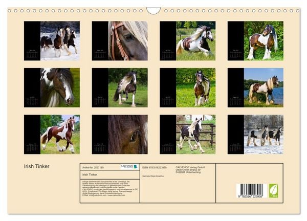 Produktbild: Irish Tinker (Wandkalender 2026 DIN A3 quer), CALVENDO Monatskalender