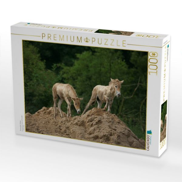 Produktbild: CALVENDO Puzzle Przewalski-Fohlen | 1000 Teile Lege-Gr&ouml;&szlig;e 64x48cm Foto-Puzzle f&uuml;r gl&uuml;ckliche Stunden