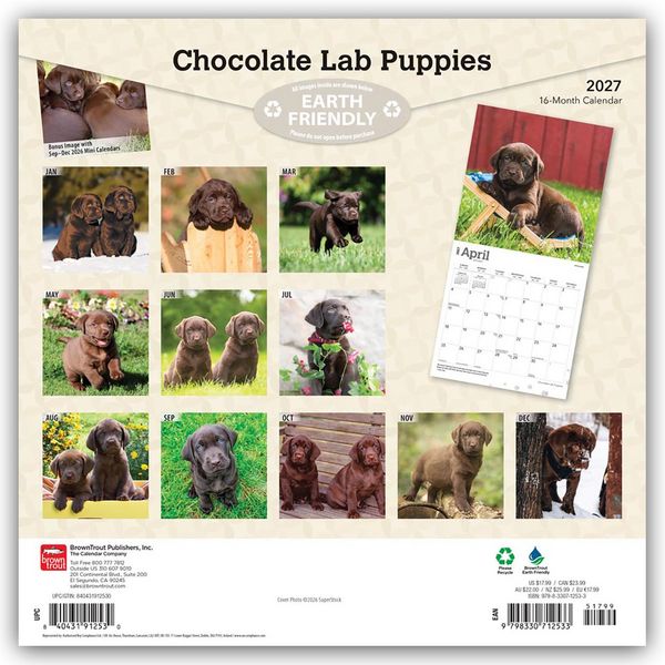 Produktbild: Chocolate Labrador Retriever Puppies &ndash; Braune Labrador Retriever Welpen 2027 &ndash; 16-Monatskalender