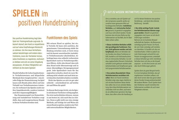 Produktbild: Spielerische Hundeerziehung