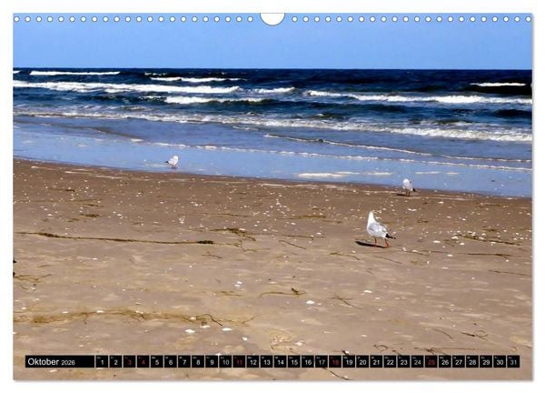 Produktbild: USEDOM - Seeb&auml;der und Naturparadies (Wandkalender 2026 DIN A3 quer), CALVENDO Monatskalender
