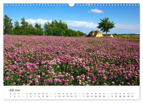 Produktbild: Bornholm Pur (Wandkalender 2026 DIN A3 quer), CALVENDO Monatskalender