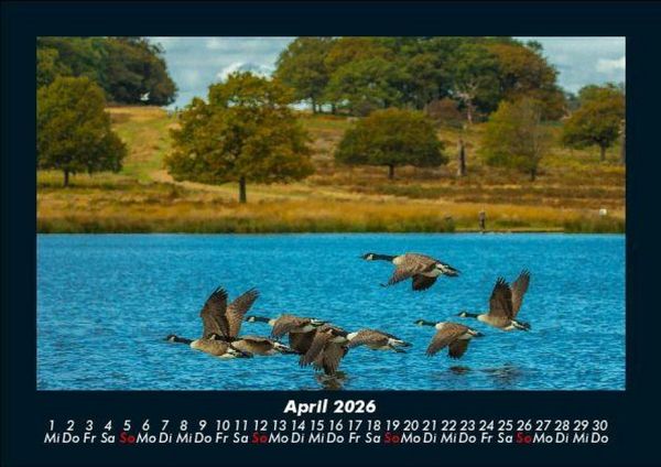 Produktbild: Wanderlust 2026 Fotokalender DIN A5