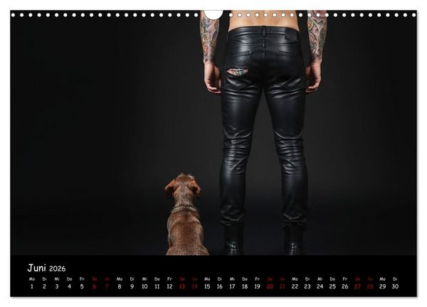 Produktbild: Coole Typen - Rauhaardackel (Wandkalender 2026 DIN A3 quer), CALVENDO Monatskalender