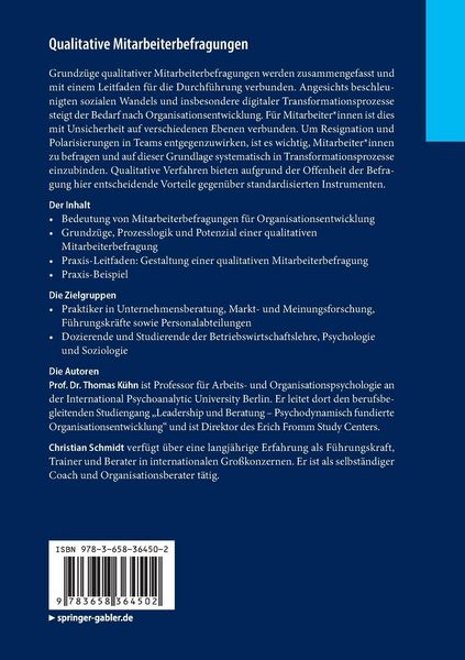 Produktbild: Qualitative Mitarbeiterbefragungen