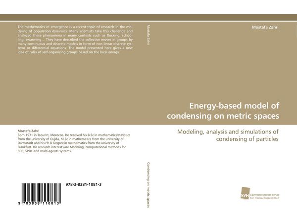 Produktbild: Energy-based model of condensing on metric spaces