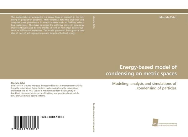Produktbild: Energy-based model of condensing on metric spaces