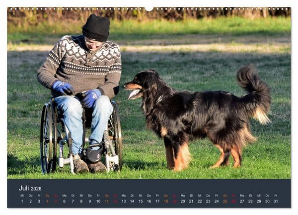 Produktbild: Ein Hovawart, ein Wachhund (Wandkalender 2026 DIN A2 quer), CALVENDO Monatskalender