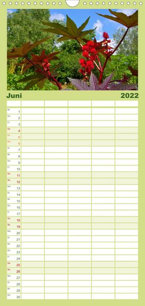 Produktbild: Familienplaner Arzneipflanzen (Wandkalender 2022 , 21 cm x 45 cm, hoch)