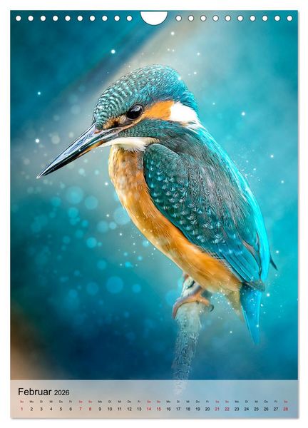 Produktbild: Schillernder Eisvogel (Wandkalender 2026 DIN A4 hoch), CALVENDO Monatskalender