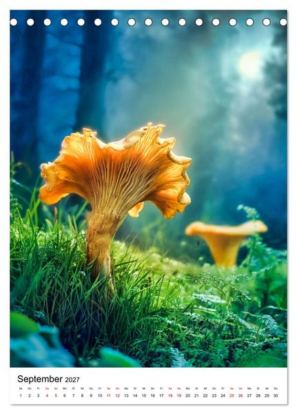 Produktbild: Pilzzeit - Leben auf dem Waldboden (Tischkalender 2027 DIN A5 hoch), CALVENDO Monatskalender