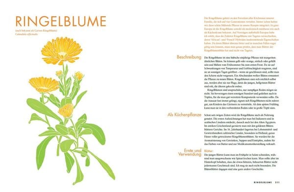Produktbild: Das besondere Kr&auml;uterkochbuch