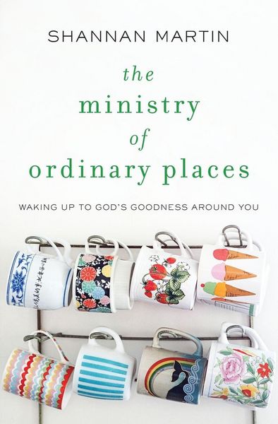 Produktbild: The Ministry of Ordinary Places