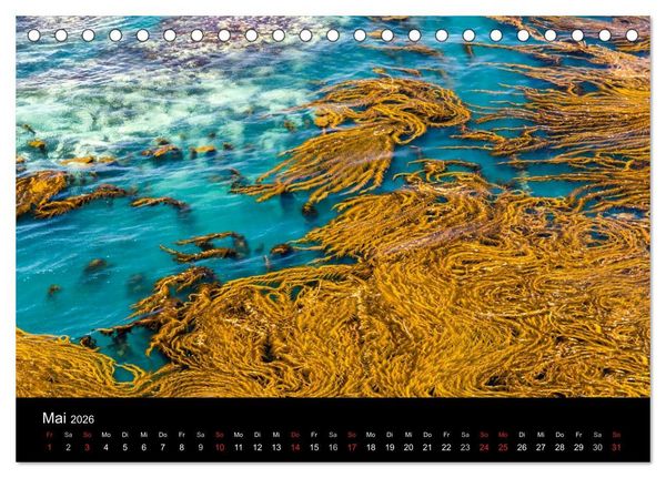 Produktbild: Meer und K&uuml;ste (Tischkalender 2026 DIN A5 quer), CALVENDO Monatskalender
