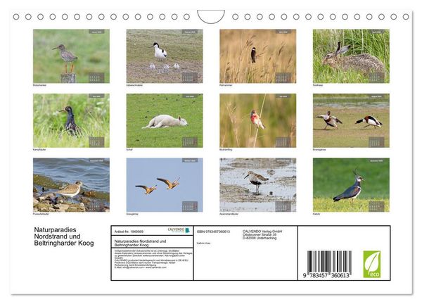 Produktbild: Naturparadies Nordstrand und Beltringharder Koog (Wandkalender 2026 DIN A4 quer), CALVENDO Monatskalender