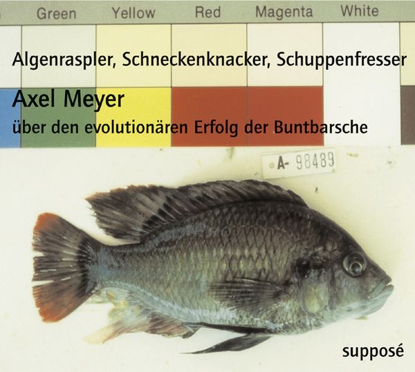 Produktbild: Algenraspler, Schneckenknacker, Schuppenfresser