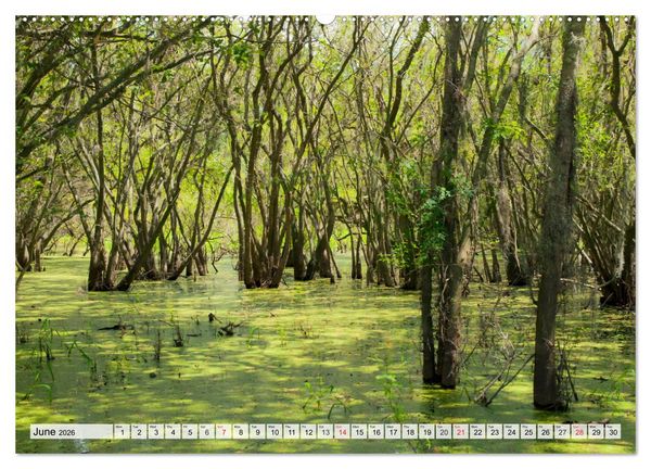 Produktbild: FLORIDA The Sunshine State (High Quality Premium Wall Calendar 2026 DIN A2 landscape),CALVENDO 12 Month Wall Calendar